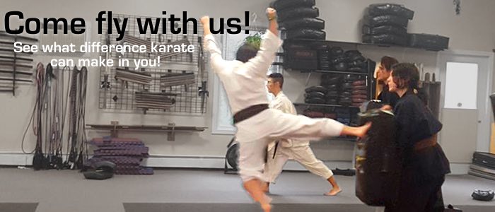 Come fly with us! See what a difference karate can make in you.